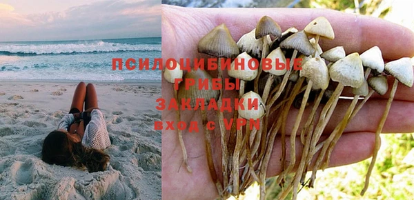 героин Богданович