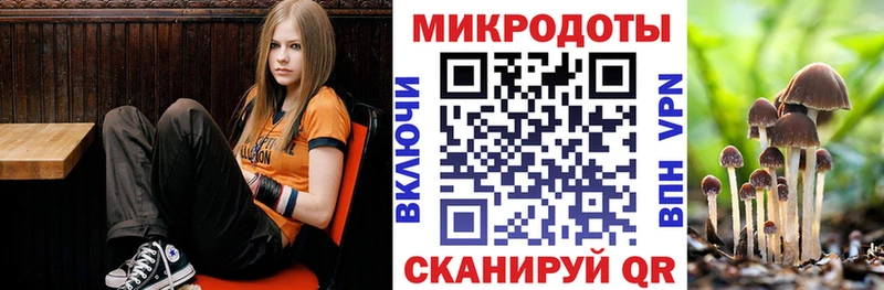 Галлюциногенные грибы ЛСД Бологое